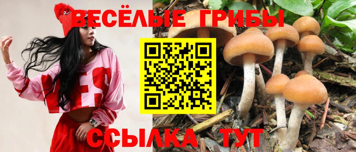 купить наркоту  Галлюциногенные грибы мицелий  Вход с VPN  Унеча 